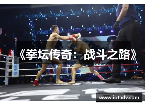《拳坛传奇：战斗之路》